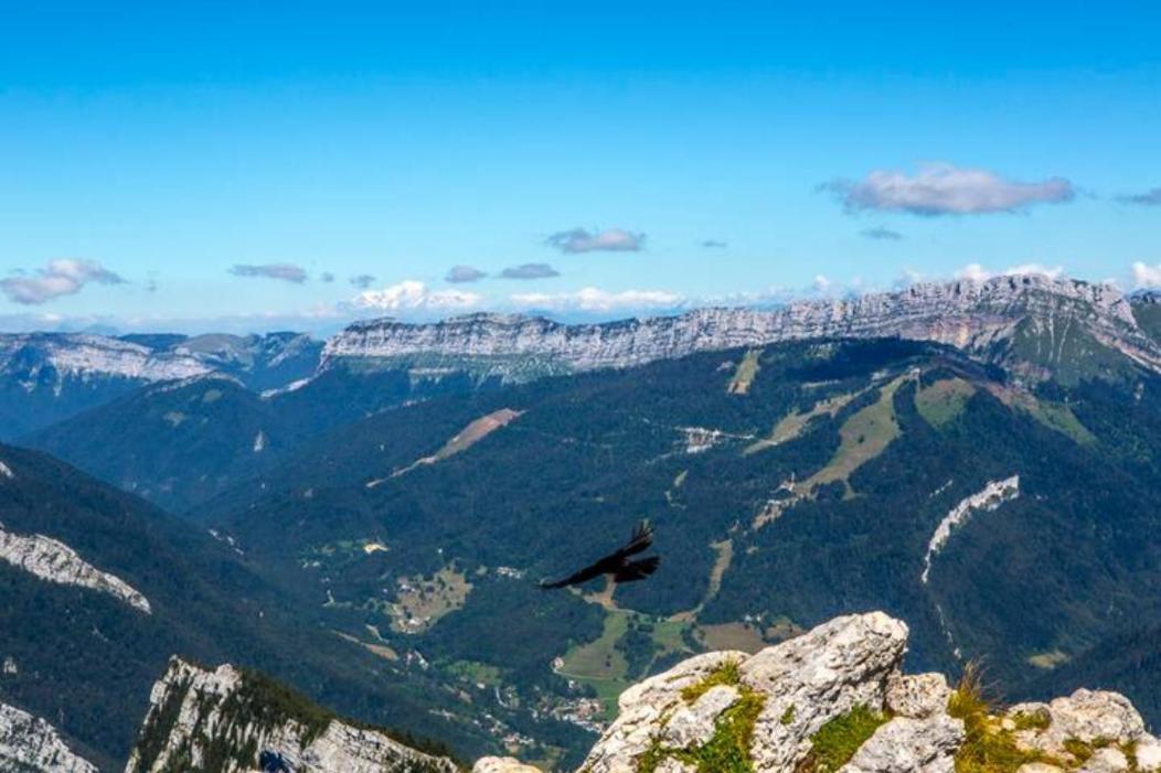 Le Mas Dauphinois Le Grand-Lemps Exterior foto